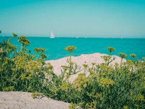 Île de Ré : toutes les bonnes adresses des initiés