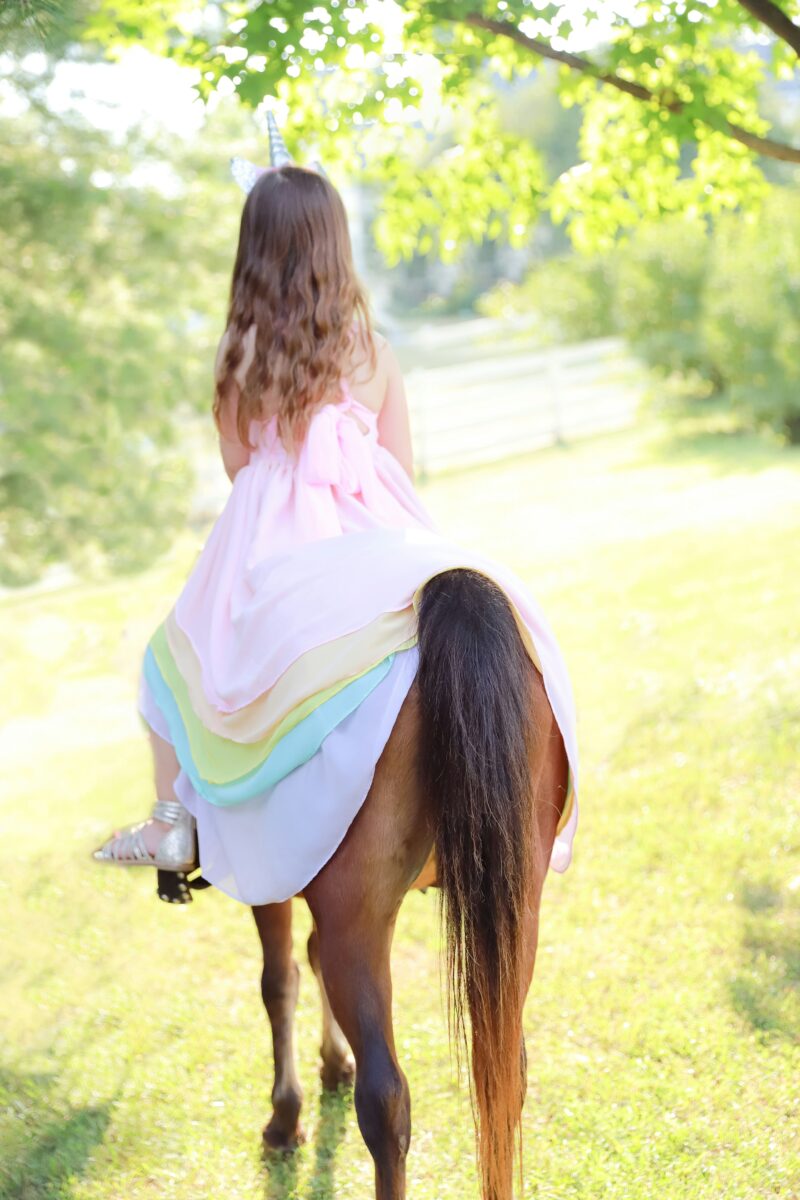 Pourquoi les robes licorne fascinent autant les petites filles (et leurs parents) ? 1 robes licorne