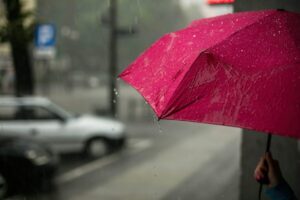Parapluie femme : bien choisir sans se tromper