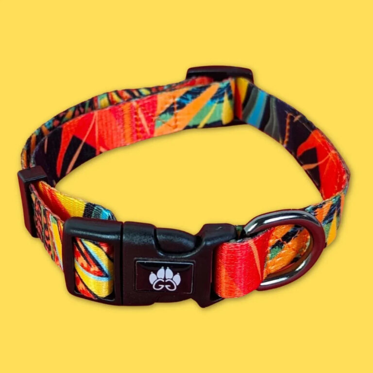 Collier pour chien : Le guide complet pour choisir le modèle idéal 46 Collier pour chien : Le guide complet pour choisir le modèle idéal