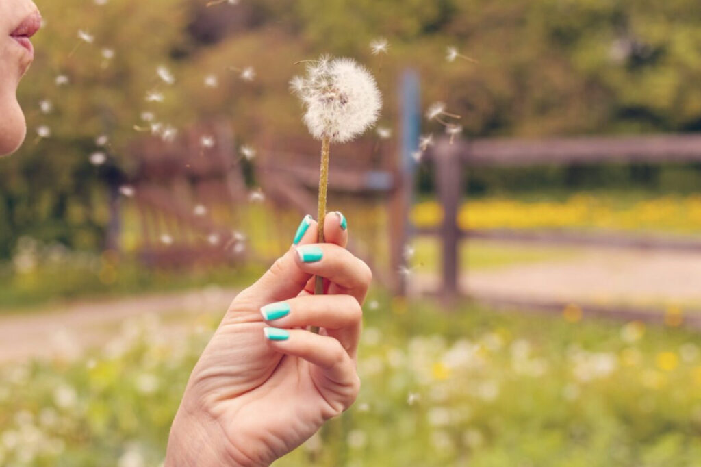 Ménopause et pollens : mon avis franc sur les bienfaits 2 Ménopause et pollens : mon avis franc sur les bienfaits